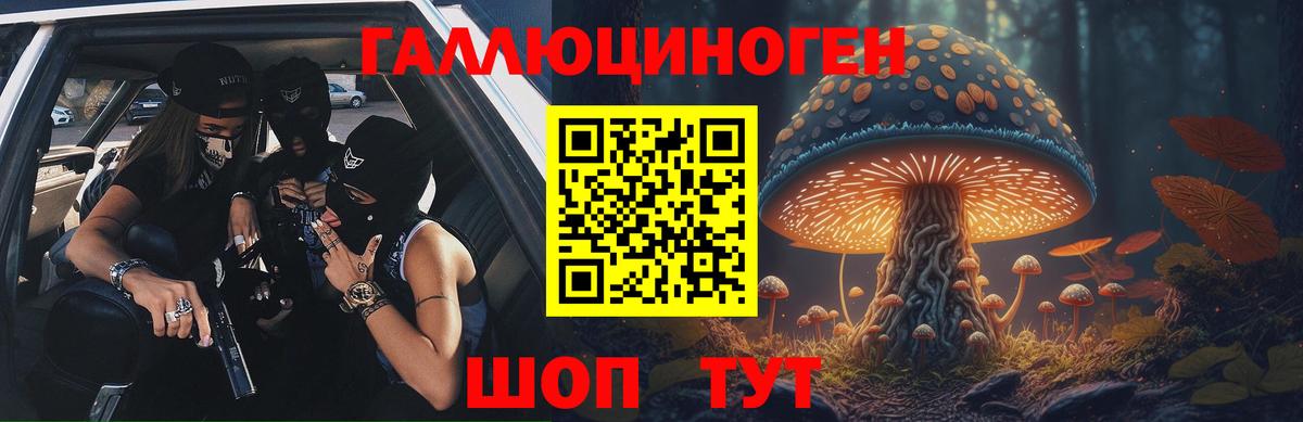 Псилоцибиновые грибы Psilocybine cubensis Беслан